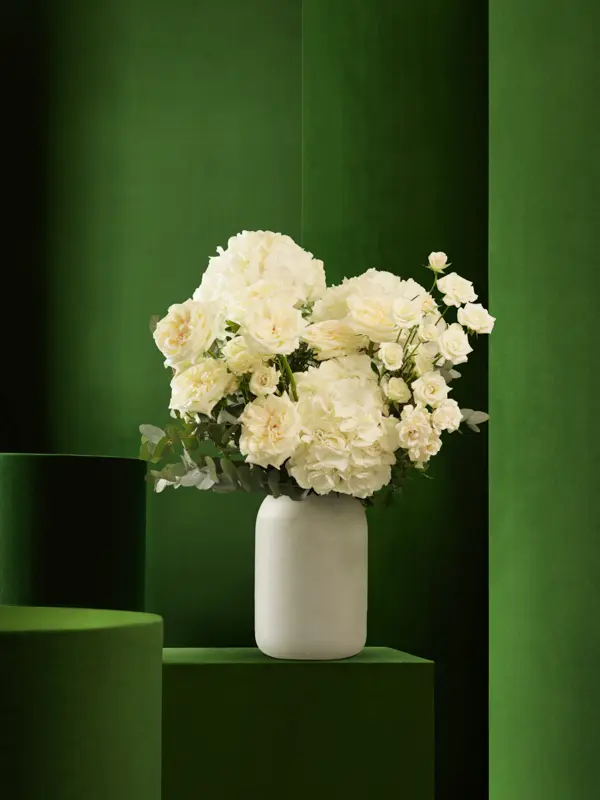 Bliss-1353.webp