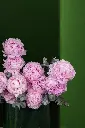 P1 (1).webp