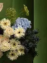 Bliss-2428.webp