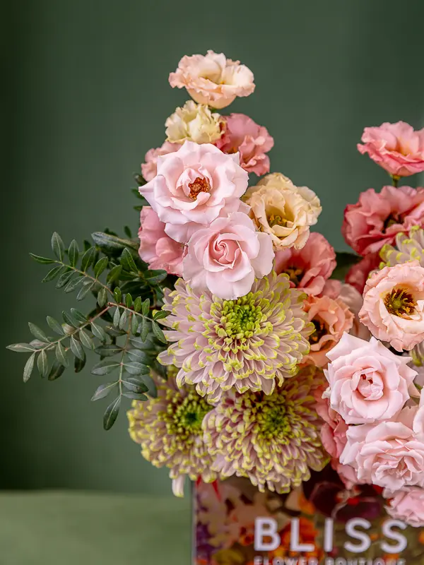 2025-05-24_MMQ-43.webp