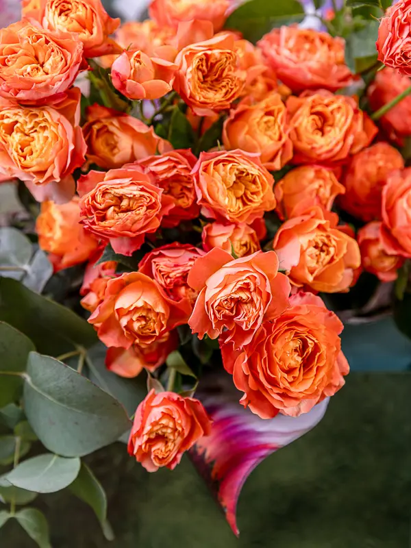 2025-05-24_MMQ-27.webp