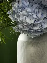 Bliss-1219.webp
