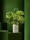 Bliss-1265.webp