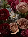 Bliss-1339.webp