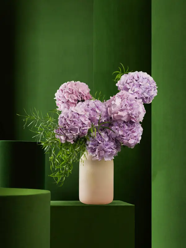 Bliss-1295.webp