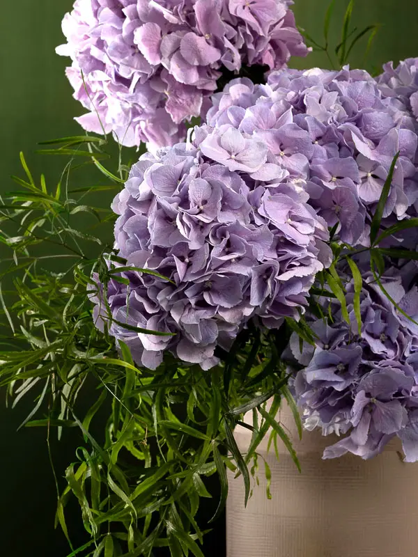 Bliss-1296.webp