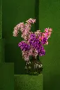 MAHALABIA LAVENDER