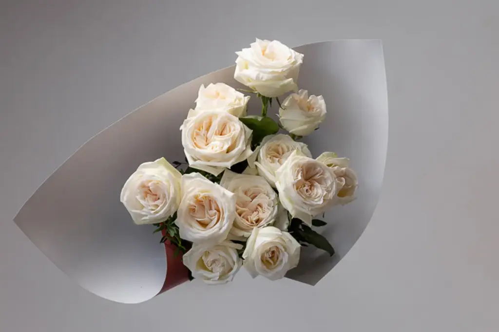WHITE HONEYDEW