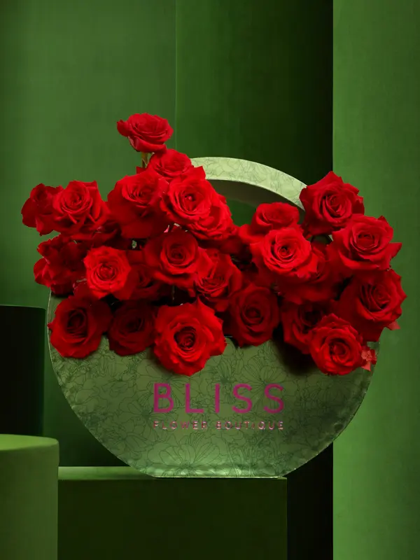 انجل وينغز باستري