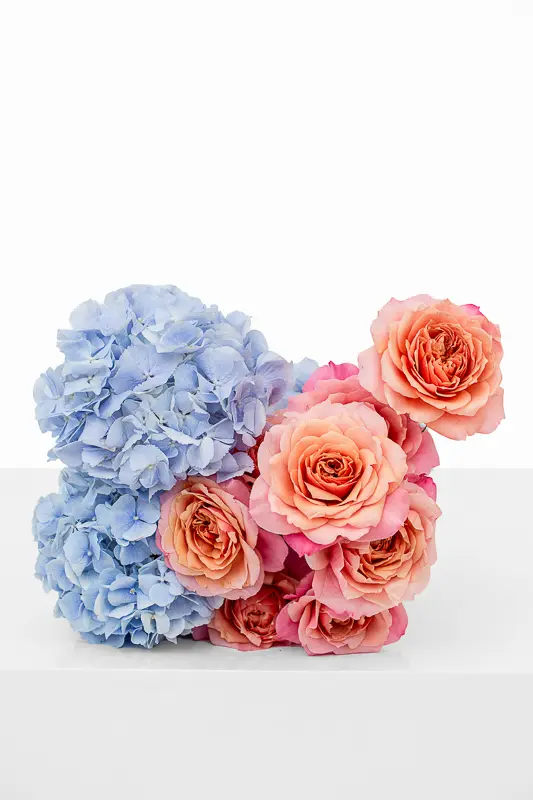 ترتيب طاولة القهوة- غيوم أزرق فاتح-