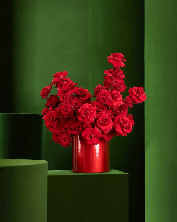 تشيري أنجل كيك - كبير