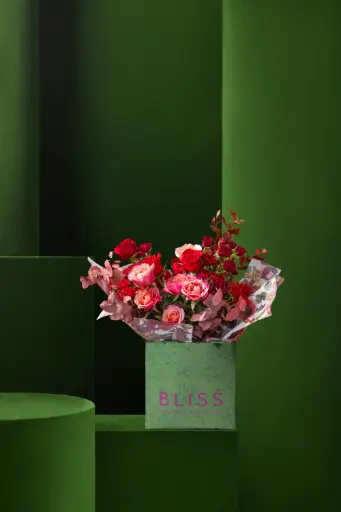 MINI RASPBERRY LEMONADE